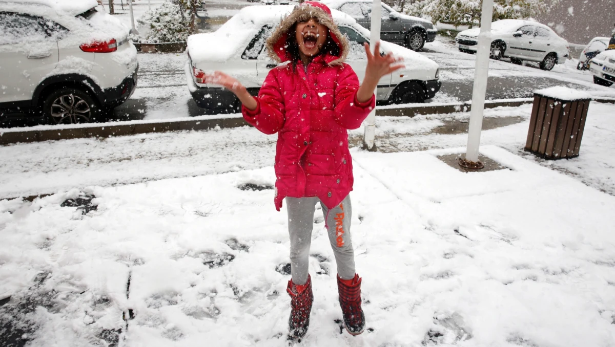 Silne opady śniegu w Teheranie sparaliżowały w sobotę ruch drogowy i doprowadziły do zamknięcia szkół - poinformowały władze stolicy Iranu.