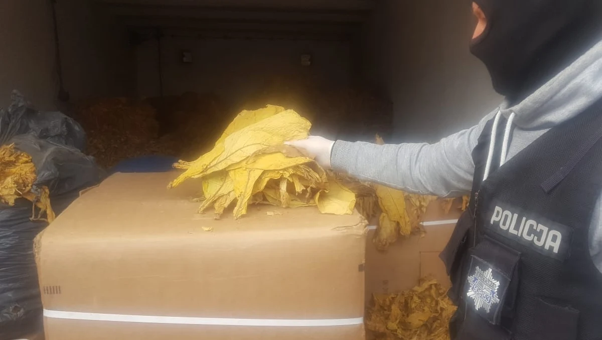 Policjanci ze Złotowa (Wielkopolskie) przejęli 3,5 tony liści tytoniu, które w swoim samochodzie przewoził 33-letni mieszkaniec Torunia. Mężczyzna został zatrzymany, grożą mu trzy lata więzienia.