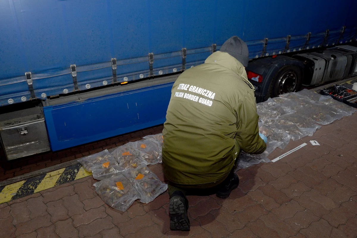 Ponad 47 kilogramów bursztynu ukrytego w zbiorniku paliwa próbował wwieźć do Polski 54-letni Ukrainiec. Miał go zamiar sprzedać na zachodzie Europy. Szacunkowa wartość towaru to ponad 166 tys. zł. Wobec mężczyzny zostało wszczęte postępowanie karno-skarbowe.