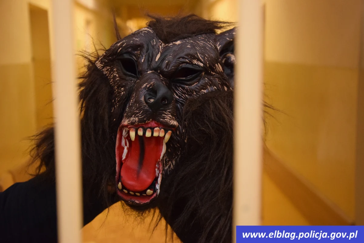 Zamiast kominiarki, wybrał maskę wilkołaka - by ukryć swoją tożsamość podczas włamania do sklepu. Znalazł ją wśród zabawek wnuka. 52-latka zatrzymała policja z Elbląga.