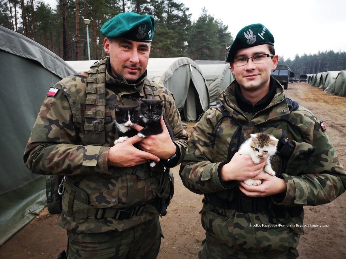Skład 1 Pomorskiej Brygady Logistycznej im. Króla Kazimierza Wielkiego z Bydgoszczy powiększył się o nowych członków. Mowa nie o żołnierzach, a małych kotkach, które wojskowi znaleźli podczas ćwiczeń w miejscowości Ziemsko.