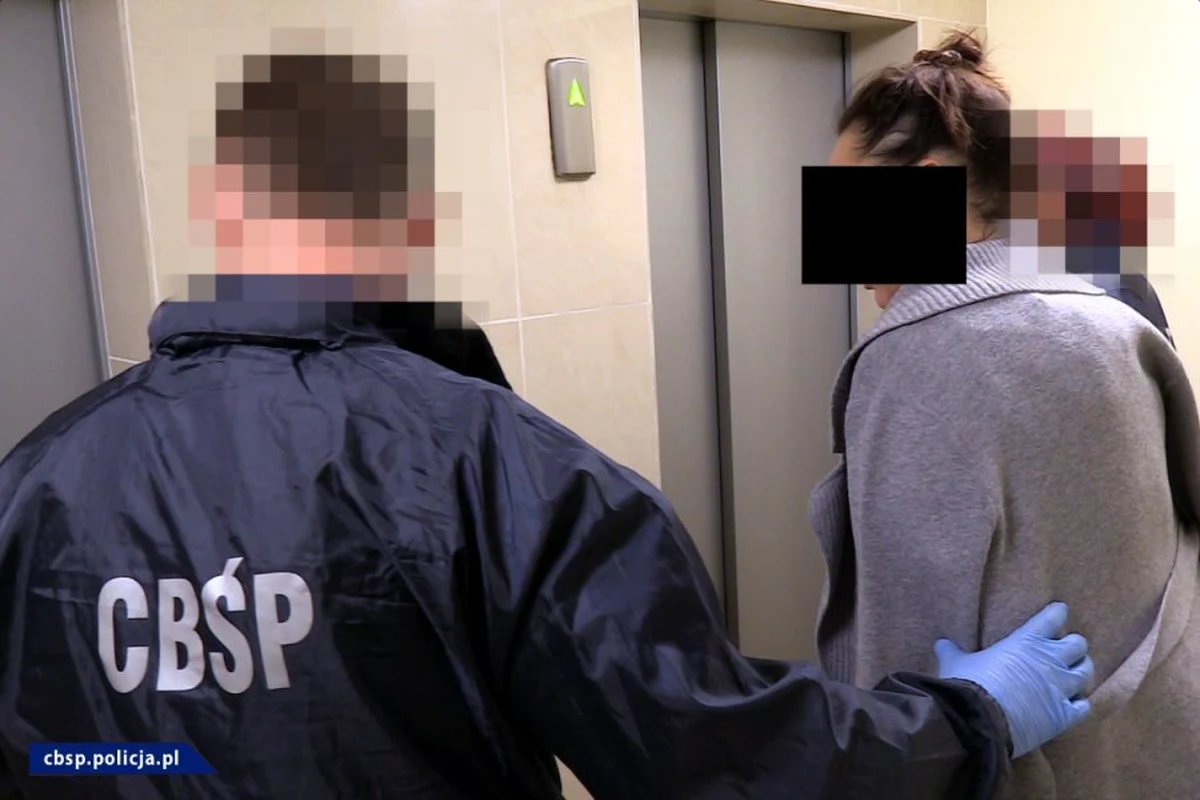 Policjanci CBŚP zatrzymali cztery osoby, które werbowały Polki i Ukrainki, a następne wysyłały je do Francji na tzw. "tournee". Mowa jest o kilkuset kobietach. Na ich pracy w charakterze prostytutek przestępcy zarobili blisko 4 miliony złotych. Na czele bandy stała kobieta.