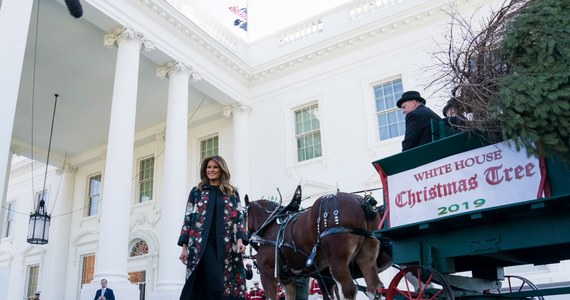 Na trzy dni przed Świętem Dziękczynienia do Białego Domu dostarczono choinkę. Drzewko z Pensylwanii osobiście odebrała pierwsza dama Stanów Zjednoczonych Melania Trump.
