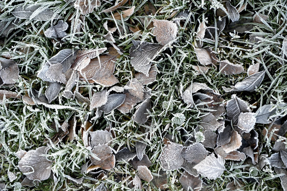 Nadchodzi pogodowa zmiana! Zrobi się chłodniej i miejscami pojawi się śnieg z deszczem. Trudne będą też warunki na drogach - kierowcy muszą spodziewać się oblodzeń.