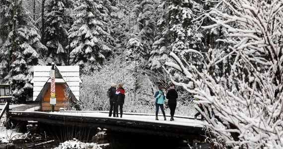 W nocy w Zakopanem zaczął padać śnieg, a temperatura spadła do minus czterech stopni. W Tatrach obowiązuje pierwszy, najniższy stopień zagrożenia lawinowego.