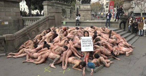 Obrońcy praw zwierząt zorganizowali w niedzielę w Barcelonie nagi protest, oskarżając przemysł mody o okrucieństwo wobec zwierząt. Aktywiści z grupy Anima Naturalis położyli się nago na schodach przy Placu Katalońskim, a ich ciało zostały oblane czerwonym płynem, który symbolizował krew. Demonstranci trzymali transparenty w języku angielskim i hiszpańskim z pytaniem: "Ile musi umrzeć dla zwykłej kurtki?"