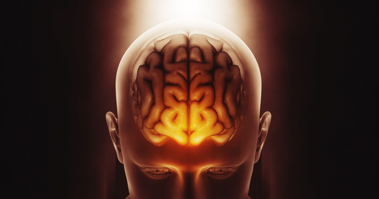 Naukowcy odkryli przełącznik w mózgu. To on steruje naszą uwagą