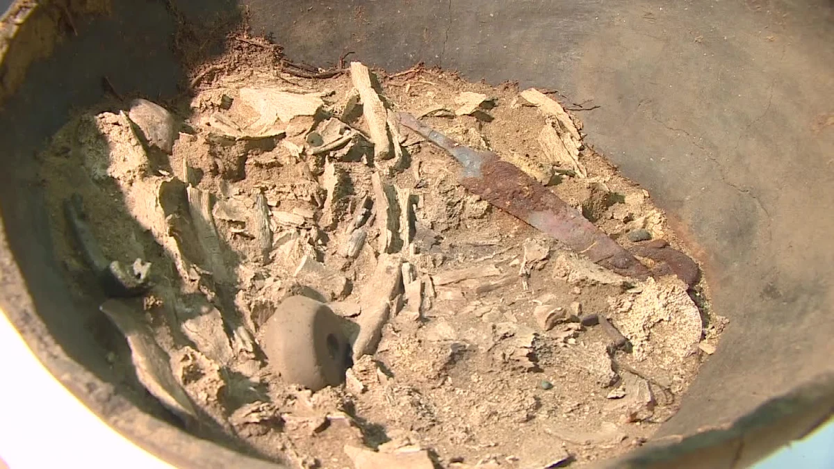 Archeolodzy z Kostrzyna nad Odrą odkryli urny sprzed dwóch tysięcy lat. Znaleziono je na terenie starożytnego cmentarzyska. Żeby dowiedzieć się, co jest w środku, postanowili najpierw je prześwietlić. A że nie mieli odpowiedniego sprzętu, zdjęcie rentgenowskie wykonali u weterynarza. I tak okazało się, że w jednej z urn – oprócz spopielonych kości – znajdowały się m.in. grot, włócznia czy elementy tarczy.