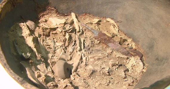 Archeolodzy z Kostrzyna nad Odrą odkryli urny sprzed dwóch tysięcy lat. Znaleziono je na terenie starożytnego cmentarzyska. Żeby dowiedzieć się, co jest w środku, postanowili najpierw je prześwietlić. A że nie mieli odpowiedniego sprzętu, zdjęcie rentgenowskie wykonali u weterynarza. I tak okazało się, że w jednej z urn – oprócz spopielonych kości – znajdowały się m.in. grot, włócznia czy elementy tarczy.