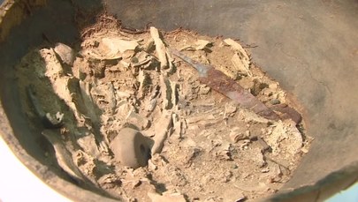 Znaleźli urnę sprzed 2000 lat. Prześwietlili ją... u weterynarza