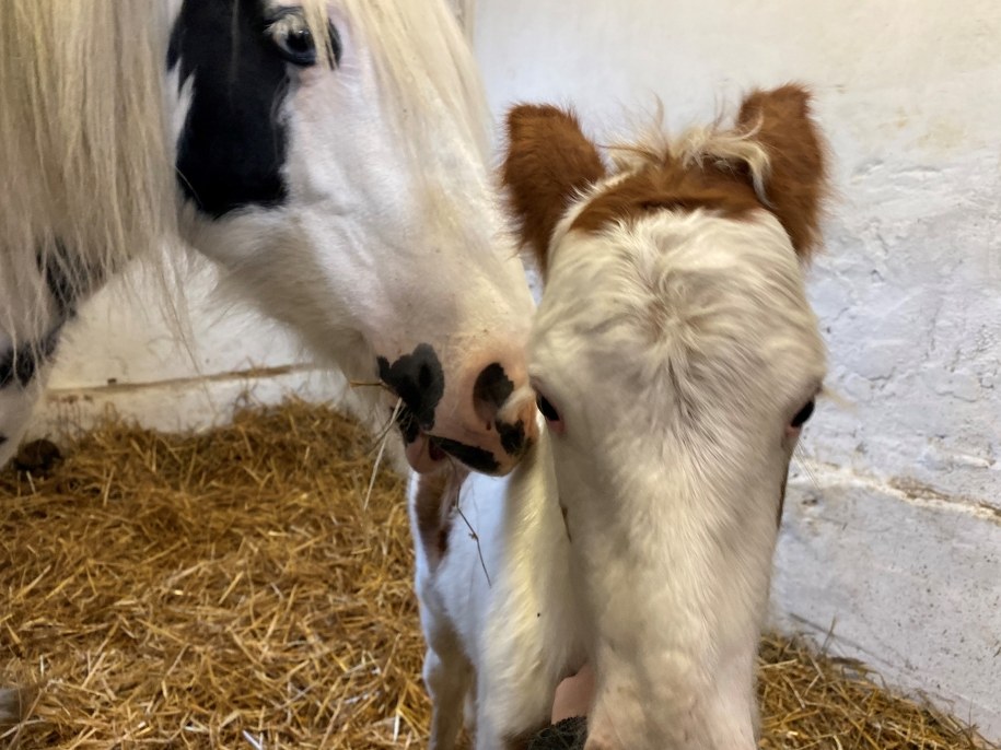 /Aneta Łuczkowska /RMF FM