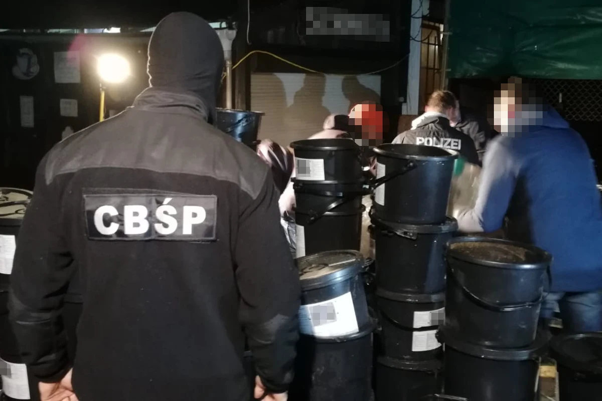 Ponad 190 kilogramów marihuany i 20 kilogramów haszyszu - zarekwirowali podczas wspólnej akcji funkcjonariusze CBŚP oraz niemieckiej policji. Należały do międzynarodowej grupy przestępczej. W Poczdamie dilerzy mieli magazyn z narkotykami. Czarnorynkowa wartość przejętych narkotyków to ponad milion euro. Zatrzymano 6 osób: czterech Niemców, Chorwata i Polaka. 