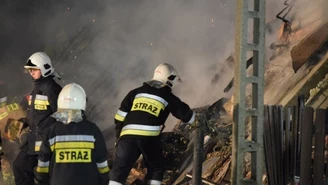 Polska Spółka Gazownictwa: W sezonie przynajmniej raz dziennie uszkadzają nam rury