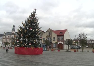 Krzywa choinka stanęła na rynku w Pucku. "Kłania się ludziom"