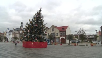 Krzywa choinka stanęła na rynku w Pucku. "Kłania się ludziom"