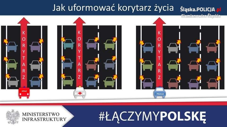 /Śląska policja /