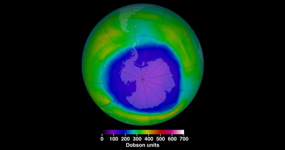 Protokół z Montrealu przyczynił się do przeciwdziałania ociepleniu klimatu znacznie bardziej niż Protokół z Kioto - przekonują na łamach czasopisma "Environmental Research Letters" naukowcy z Uniwersytetu Nowej Południowej Walii. Wyniki ich analiz pokazują, że podjęte pod koniec lat 90-tych starania o zapobieżenie powiększaniu się dziury ozonowej nad Antarktydą w istotny sposób przyczyniły się do zmniejszenia tempa ocieplenia klimatu. Bez tamtego porozumienia i eliminacji freonów, temperatura do 2050 roku mogłaby wzrosnąć o 1 stopień Celsjusza więcej, niż przewidują obecne prognozy. Podjęte w latach 90 inicjatywy na rzecz ograniczenia emisji innych gazów cieplarnianych nie mogą się pochwalić taką skutecznością.