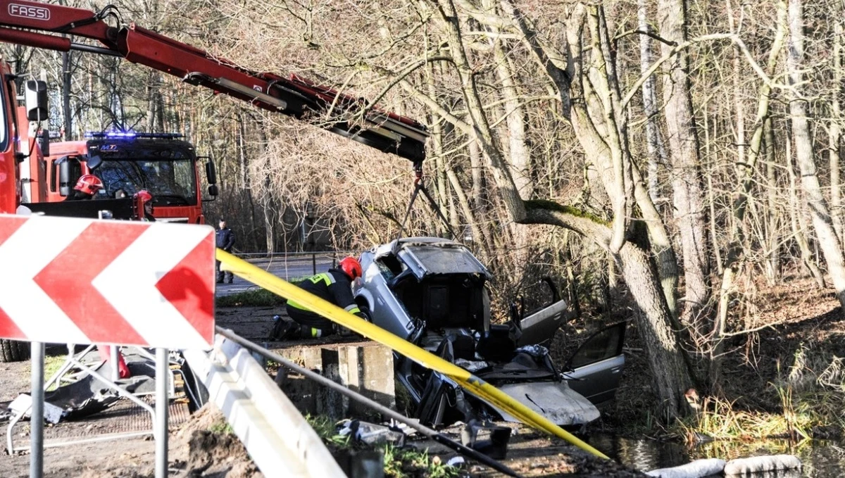 W czwartek zostały przeprowadzone sekcje zwłok pięciorga młodych ludzi w wieku od 17 do 19 lat, którzy we wtorek zginęli w wypadku drogowym w pobliżu Ciborza w Lubuskiem. Bezpośrednią przyczyną ich śmierci było utonięcie - poinformował rzecznik Prokuratury Okręgowej w Zielonej Górze Zbigniew Fąfera.