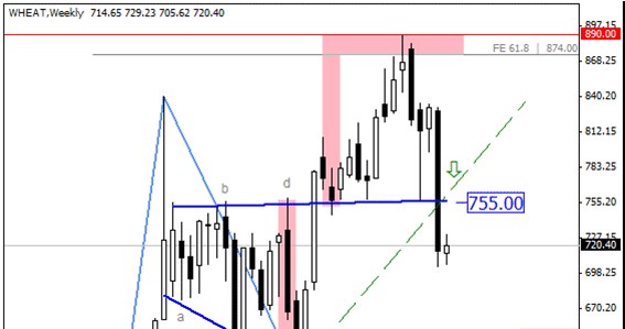 /x-Trade Brokers DM SA