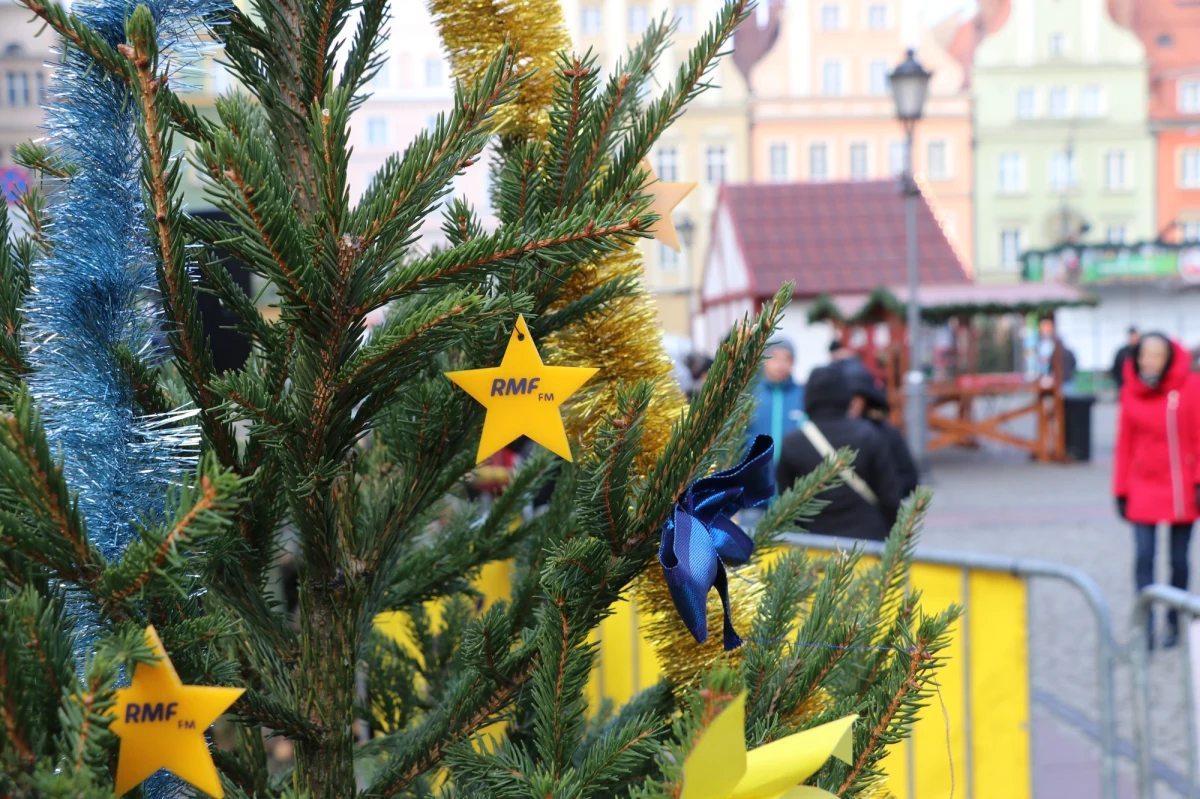 We Wrocławiu zatrzymał się w piątek trzynastego choinkowy konwój RMF FM: w drugim dniu tegorocznej odsłony naszej przedświątecznej akcji "Choinki pod choinkę" tysiąc zielonych, pachnących świerków rozdaliśmy właśnie mieszkańcom stolicy Dolnego Śląska! Choć umówiliśmy się z Wami na pl. Solnym na godzinę 11:00, to pierwsi fani choinek od RMF FM ustawili się tam w kolejce już po 05:00 rano!