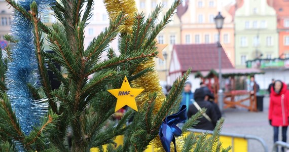 We Wrocławiu zatrzymał się w piątek trzynastego choinkowy konwój RMF FM: w drugim dniu tegorocznej odsłony naszej przedświątecznej akcji "Choinki pod choinkę" tysiąc zielonych, pachnących świerków rozdaliśmy właśnie mieszkańcom stolicy Dolnego Śląska! Choć umówiliśmy się z Wami na pl. Solnym na godzinę 11:00, to pierwsi fani choinek od RMF FM ustawili się tam w kolejce już po 05:00 rano!