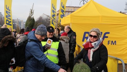 "Choinki pod choinkę" od RMF FM. W Gdyni rozdaliśmy tysiąc drzewek!