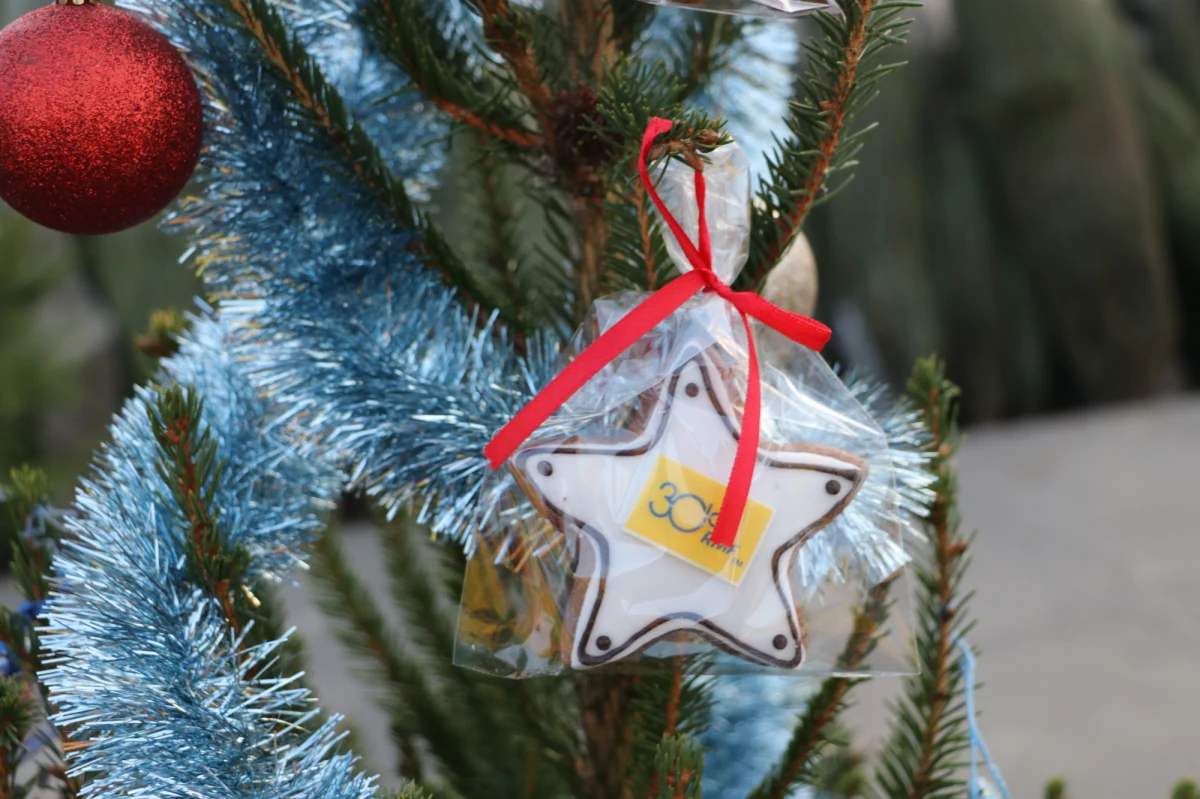 Kolęda "Dzisiaj w Betlejem" w wykonaniu Nikoli i Roksany Minty zachwyciła jury Kolędowego Karaoke w Gdyni. Wspólne kolędowanie odbyło się w ramach akcji "Choinki pod choinkę" od RMF FM. Szóstego dnia akcji spotkaliśmy się na Skwerze Kościuszki.