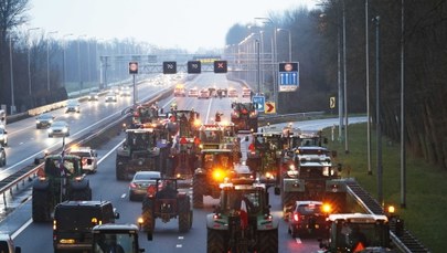 Holandia: Protesty przeciwko rządowej polityce ochrony środowiska