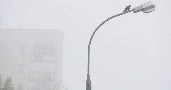 Instytut Meteorologii i Gospodarki Wodnej (IMGW) wydał w nocy ostrzeżenie przed gęstymi mgłami dla ośmiu województw. 