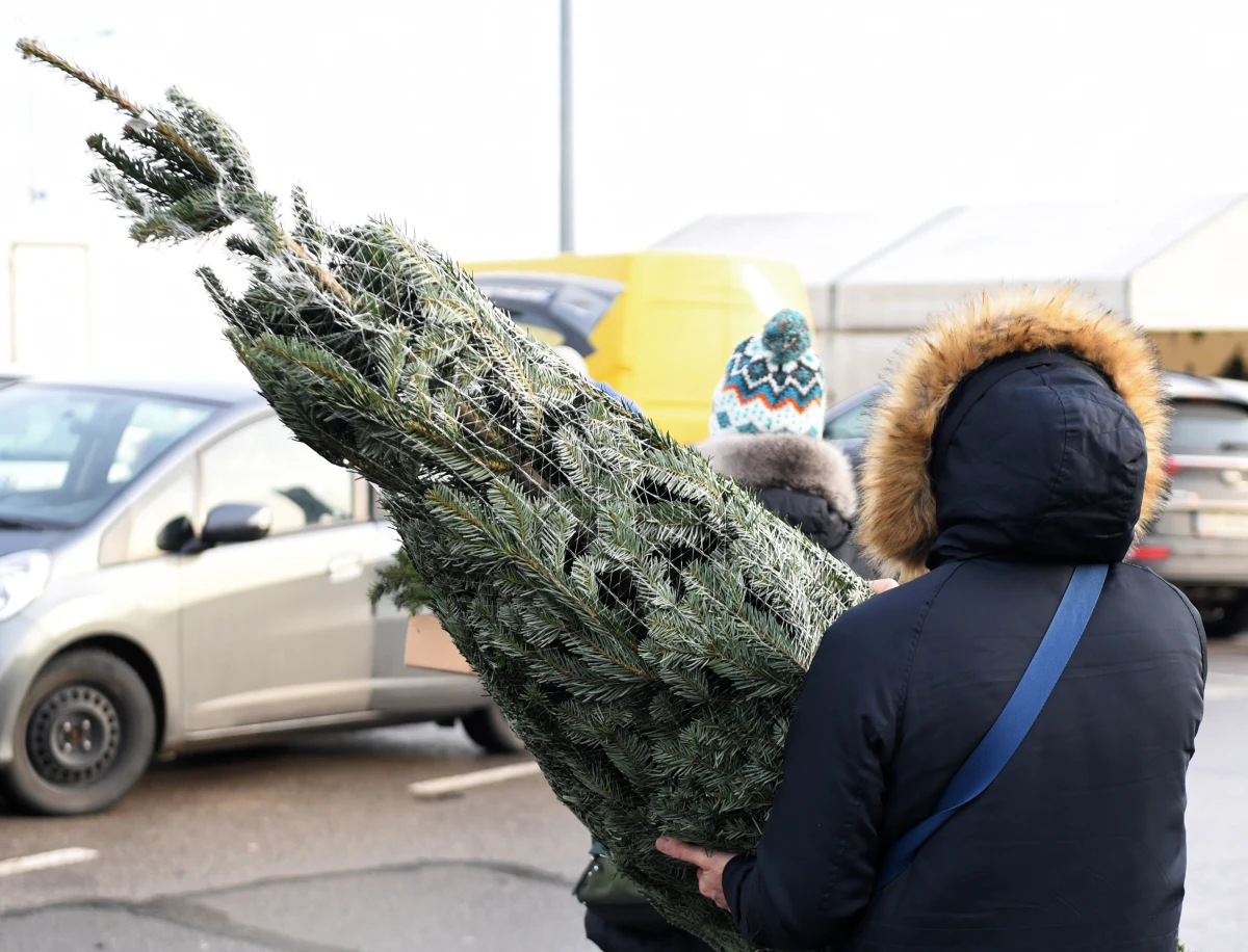 Jaka będzie pogoda w Wigilię, pierwszy i drugi dzień Bożego Narodzenia? Czy czekają nas białe święta? Niestety, nie mamy najlepszych wieści, za to poważne ostrzeżenie dla kierowców.