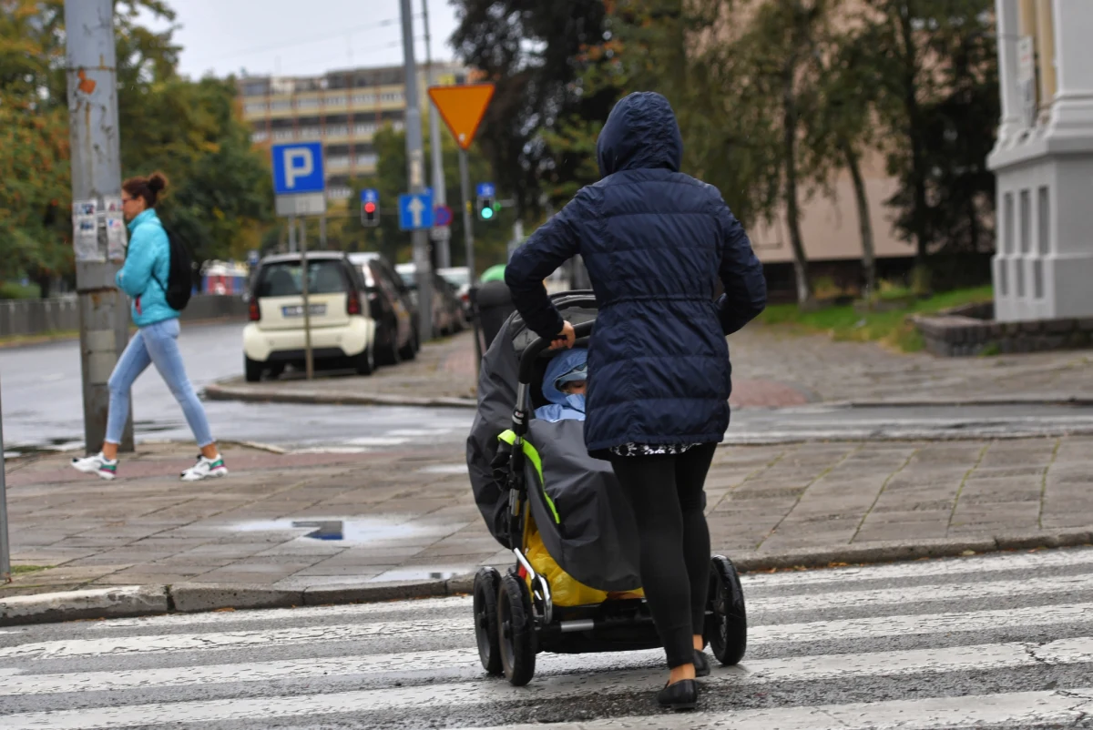 Instytut Meteorologii i Gospodarki Wodnej (IMGW) wydał w piątek ostrzeżenie przed silnym wiatrem na południu pięciu województw: śląskiego, dolnośląskiego, opolskiego, małopolskiego oraz podkarpackiego.