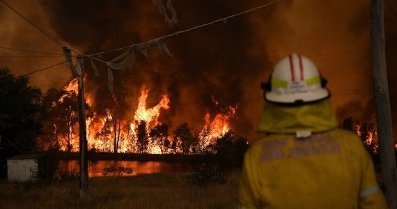 Od kilku tygodni australijski busz i lasy trawione są przez wyniszczające pożary, które zaczynają zagrażać Sydney. Susza, silny wiatr i rekordowe upały odnotowane w tym tygodniu w Australii tylko pogarszają dotychczasową sytuację.