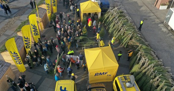 Tysiąc "Choinek pod choinkę" od RMF FM oddaliśmy dzisiaj w ręce mieszkańców Kielc! W rozdawaniu pachnących świerków pomogła nam Lanberry, pachnące były również... wypieki, jakimi uraczyli naszych Słuchaczy kieleccy cukiernicy. Było słodko, radośnie i śpiewająco: zobaczcie sami!