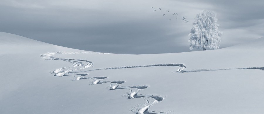 Choć pogoda w Polsce daleka jest od zimowej, właśnie dziś rozpoczęła się astronomiczna zima. Potrwa ona do 20 marca. O pierwszym dniu zimy postanowiła przypomnieć wyszukiwarka Google, która przygotowała z tej okazji wyjątkową formę swojego logotypu, która jest wyświetlana na stronie głównej. To tzw. Google Doodle. 