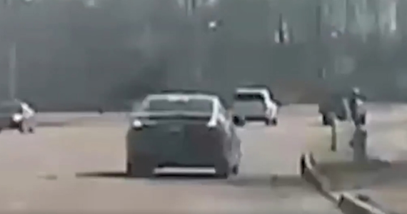 W Collierville w Stanach Zjednoczonych na drodze w pobliżu autostrady międzynarodowej nr 240 w Tennessee pojawił się jeleń. Na filmie wideo widać, jak zwierzak skacze nad jadącym samochodem.