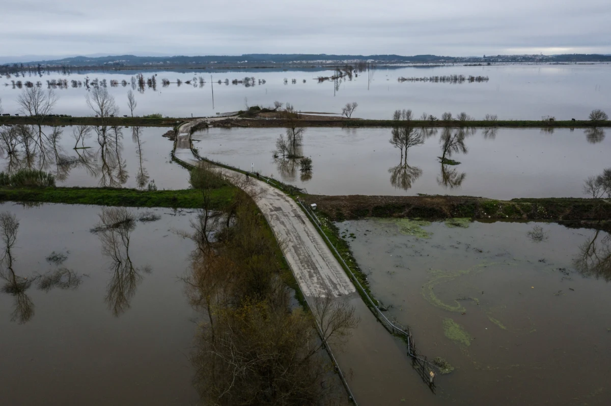 Ponad 500 osób zostało ewakuowanych w Portugalii ze względu na powodzie, do których doprowadziły grudniowe sztormy - poinformowały w poniedziałek władze. Najtrudniejsza sytuacja jest w dystrykcie Coimbra, w środkowej części kraju, gdzie wylała rzeka Mondego.