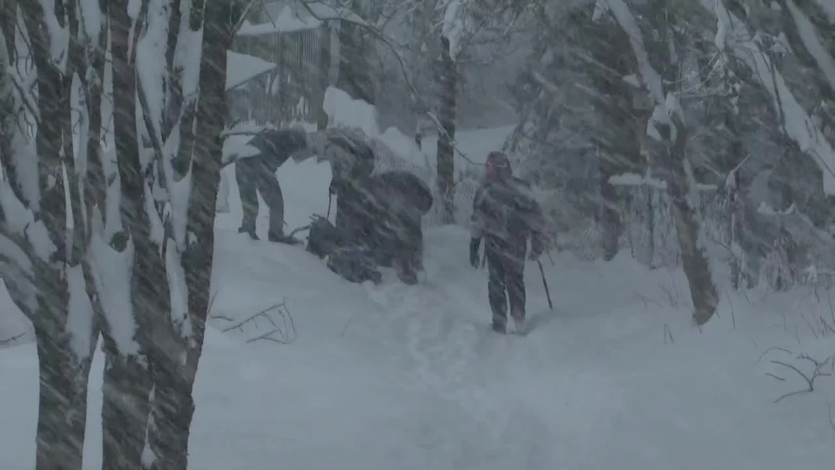 Trudne warunki pogodowe w Tatrach. Tatrzańskie Ochotnicze Pogotowie Ratunkowe ogłosiło trzeci stopień zagrożenia lawinowego w pięciostopniowej skali. Na Kasprowym Wierchu leży już prawie półtora metra śniegu. Ratownicy i przewodnicy przestrzegają przed wychodzeniem na popularne szlaki turystyczne, na które mogą zejść lawiny.