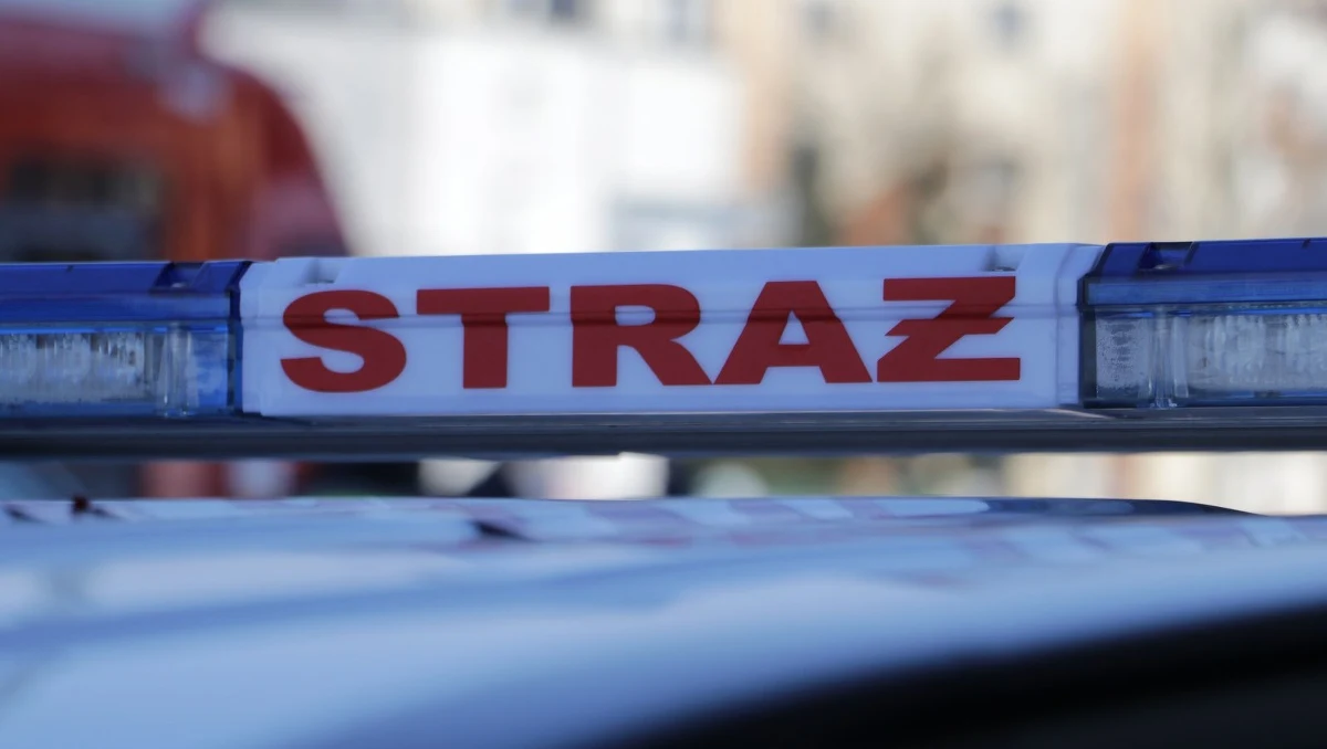 Strażacy opanowali pożar, który wybuchł w niedzielę w ubojni w Starem Bystrem koło Nowego Targu. W pożarze nie ucierpieli ludzie ani zwierzęta - powiedział dyżurny nowotarskiej straży pożarnej.