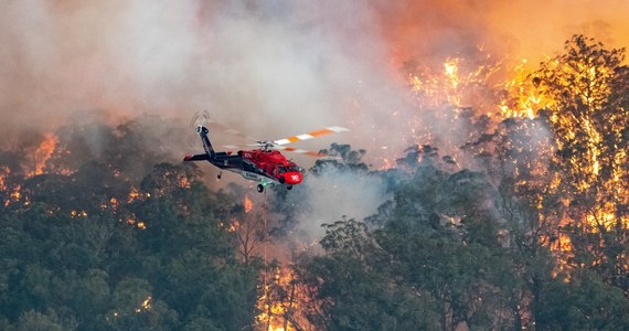 Dwie osoby zginęły we wtorek w pożarach lasów w stanie Nowa Południowa Walia w Australii. W Wiktorii ogień uwięził ok. 4 tys. ludzi, którzy schronili się na plażach - informuje agencja EFE.