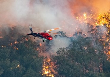 Wielkie pożary w Australii. „Warunki apokaliptyczne”