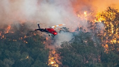 Wielkie pożary w Australii. „Warunki apokaliptyczne”