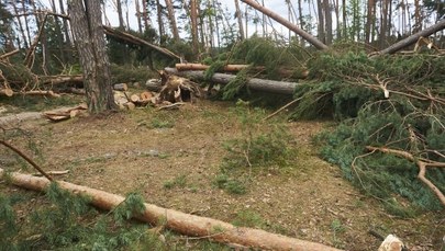 Tragedia na obozie harcerskim w Suszku. Zarzuty dla komendantów i urzędnika