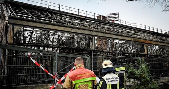 Trzy kobiety są podejrzane o nieumyślne podpalenie małpiarni w zoo w Krefeld w zachodniej części Niemiec. W sylwestrową noc puszczały papierowe lampiony. To od jednego z nich najprawdopodobniej zapalił się budynek, w którym przebywały m.in. szympansy i orangutany. Zginęło 30 zwierząt. 