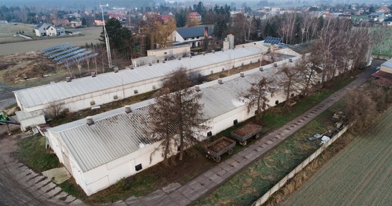 Jeszcze w piątek ma się rozpocząć utylizacja 65 tys. kur niosek z fermy w Topoli-Osiedle koło Ostrowa Wielkopolskiego. U zwierząt stwierdzono obecność wirusa H5N8, co potwierdził Instytut Weterynarii w Puławach. 