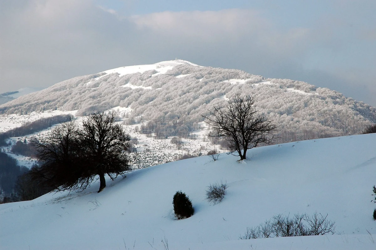W górnych partiach Bieszczad obowiązuje pierwszy - w pięciostopniowej, rosnącej skali - stopień zagrożenia lawinowego. Leży tam średnio ok. 60 cm śniegu. 