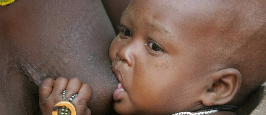 Czy mleko matki może zaszczepić dziecko przed malarią? Najnowsze wyniki badań australijskich naukowców pokazują, że to możliwe. Badacze z The University of Western Australia piszą na łamach czasopisma "JAMA Pediatrics", że na terenach Ugandy, gdzie malaria jest często spotykana, nawet 15 proc. próbek mleka młodych matek zawiera jej przeciwciała. Mogą one pomóc układowi odpornościowemu dziecka w uchronieniu się przed rozwojem tej choroby.
