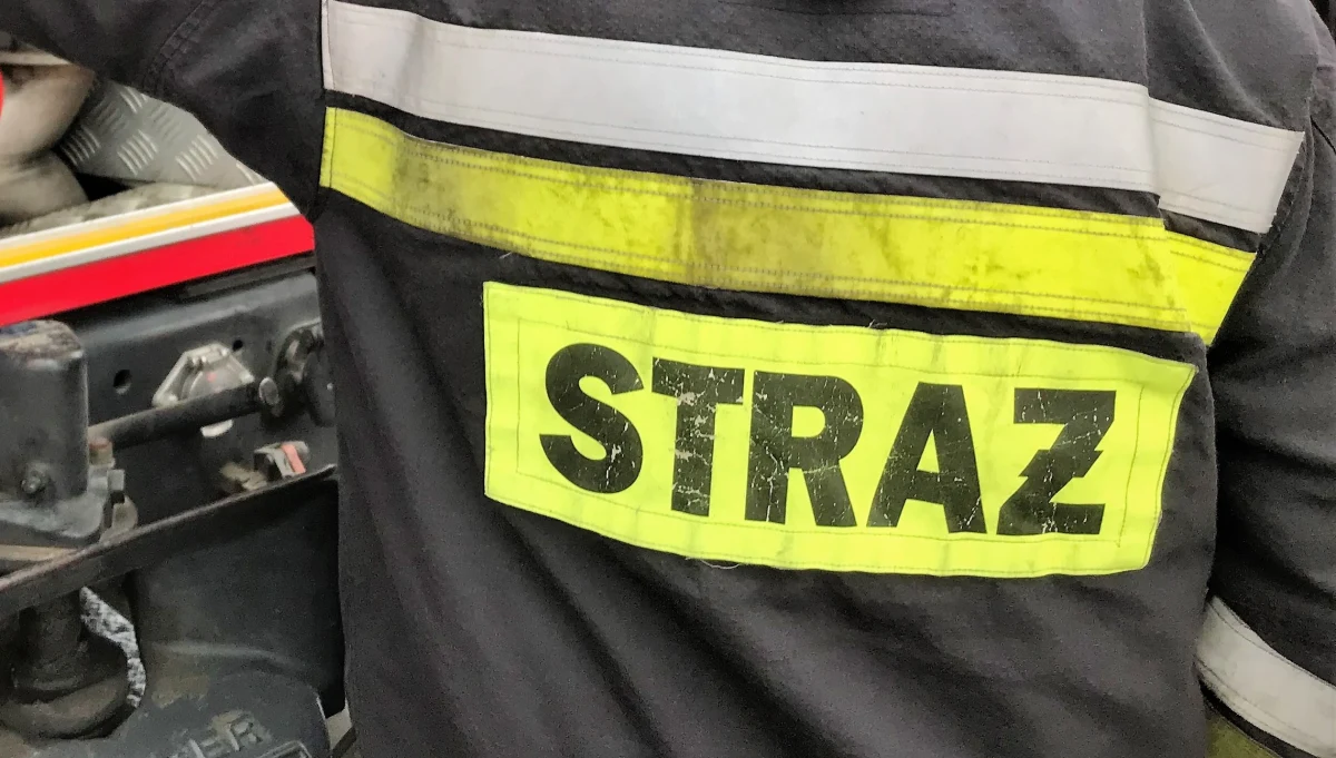 Dwa zwęglone ciała znaleźli strażacy podczas gaszenia pożaru pustostanu po byłym przedszkolu w Słubicach w Lubuskiem. Jedna osoba została stamtąd ewakuowana. Pożar opanowano i rozpoczęto oddymianie budynku. 