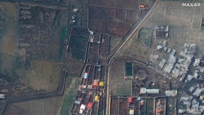 Lasek o katastrofie ukraińskiego boeinga: Nie wierzę w zniszczenie czarnych skrzynek
