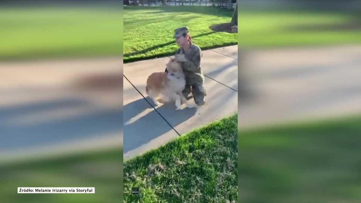 Newport News, Virginia, Stany Zjednoczone. Kiedy po 6 miesiącach służby na Bliskim Wschodzie Melanie wróciła do domu w Stanach, z impetem powitał ją najlepszy przyjaciel. Golden retriever Hudson nie posiadał się z radości! Na takie spotkanie aż miło popatrzeć.