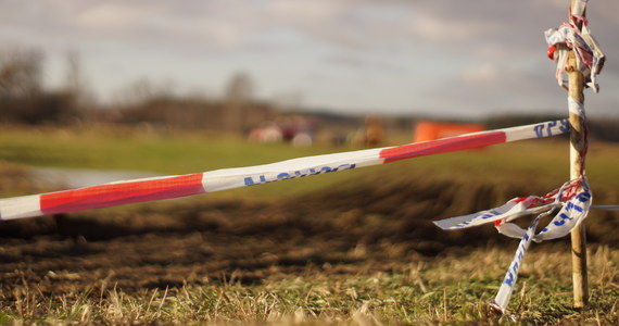 Fragmenty szkieletu 71-letniego mężczyzny zostały znalezione na jednej z posesji w miejscowości Osiek na Dolnym Śląsku. Przeprowadzona sekcja zwłok wykazała, że mężczyzna został zjedzony przez świnie, które hodował - nie jest jednak znana przyczyna jego śmierci.